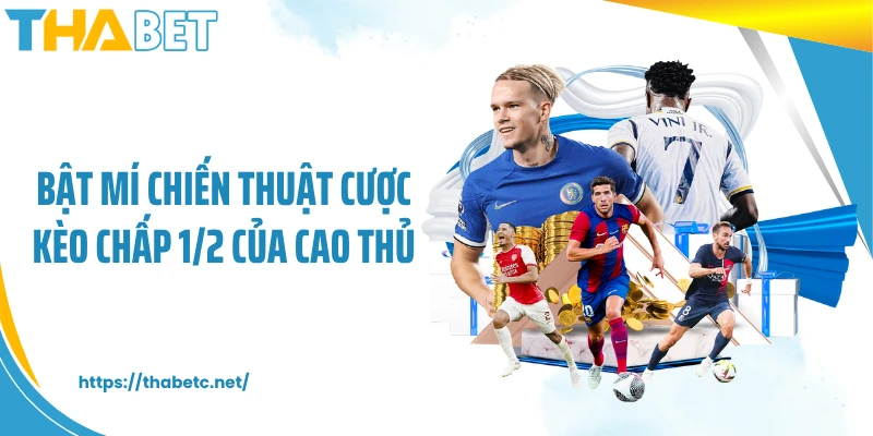 Bật mí chiến thuật cược kèo chấp 1/2 của cao thủ